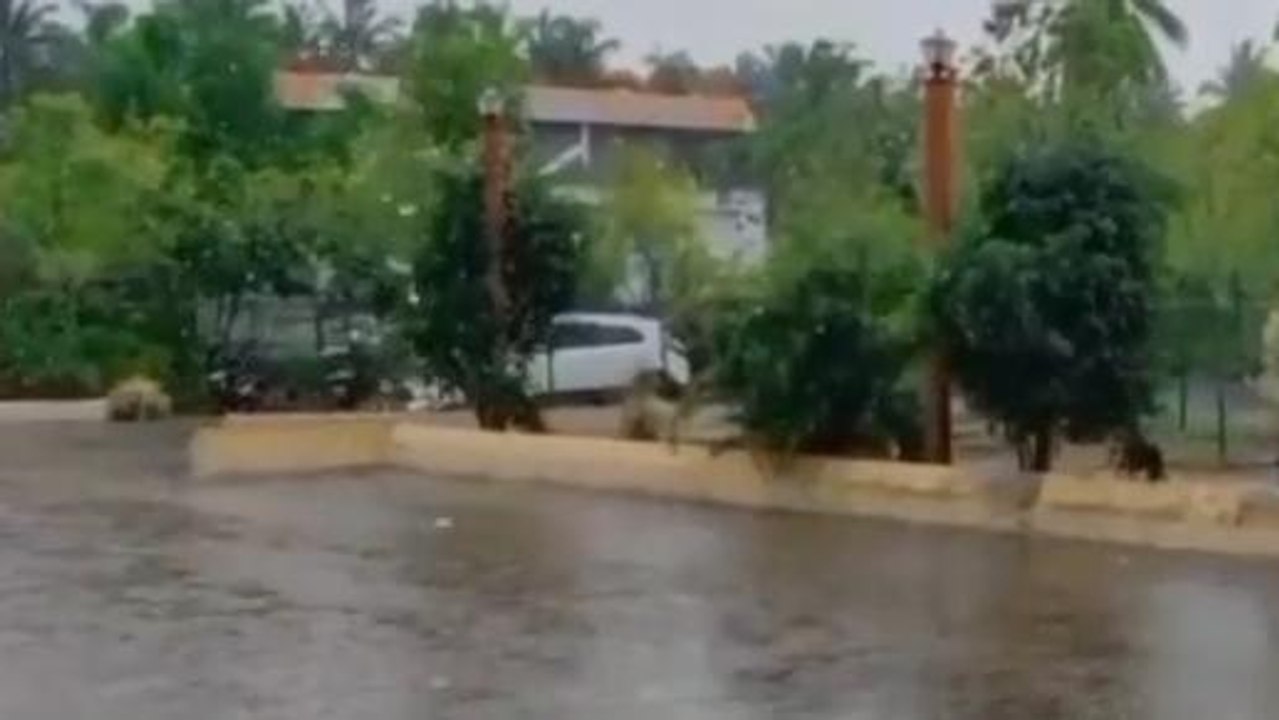ఏలూరు: జిల్లాలో దంచికొట్టిన వర్షం