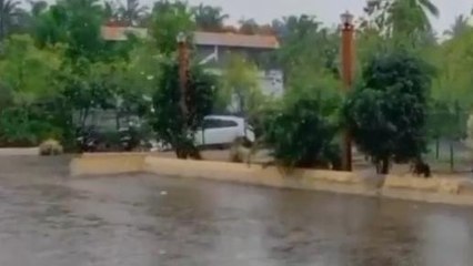 ఏలూరు: జిల్లాలో దంచికొట్టిన వర్షం