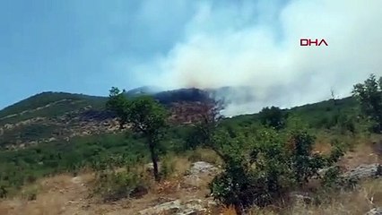 Diyarbakır Lice'de Örtü Yangını