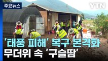 '태풍 피해' 대구 군위 복구 본격화...주민·봉사자 '구슬땀' / YTN