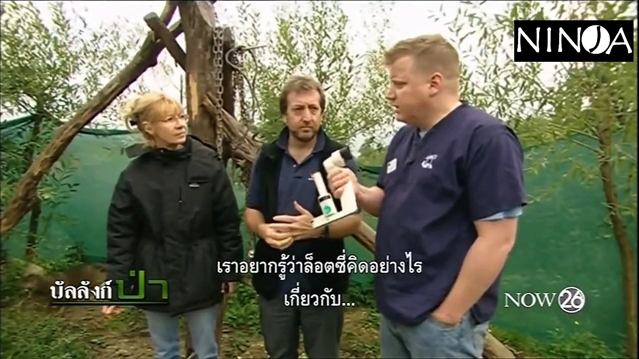 สารดี หมีภูเขา