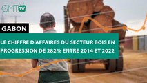 [#Reportage] #Gabon : le chiffre d’affaires du secteur bois en progression de 282% entre 2014 et 2022