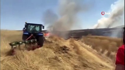 Grand incendie à Sivas Kangal： 300 acres de blé cultivé sont en cendres