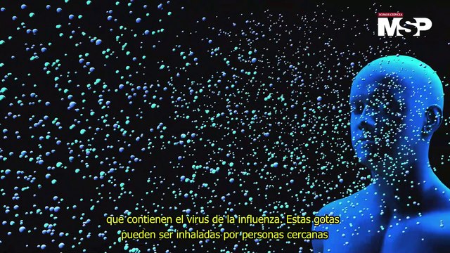 Las tres infecciones que gobiernan las escuelas - #EspecialMSP