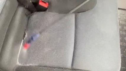 Why pay for therapy when you can watch the interior of a van getting immaculately polished?