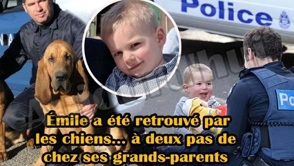  16h43! Émile a été retrouvé par les chiens... à deux pas de chez ses grands-parents