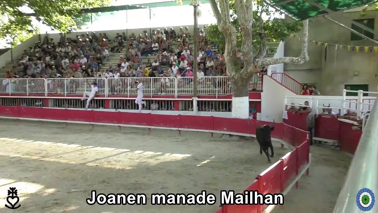 2023 07 30 Joanen