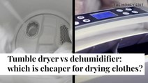 Tumble Dryer V Humidifier - Which Is Cheaper? I The Money Edit