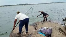 Incredible Big fish Hunting & Catching by Professional Fisherman_Unbelievable hook fishing video