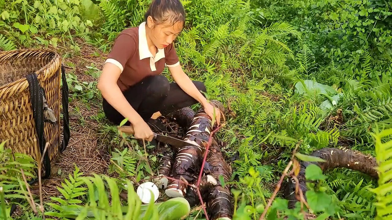 The girl was robbed by the bad guys, all her property, money, puppies - Ban Hong Thu