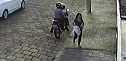 Cadelinha que perseguiu tutora que tentava abandoná-la, é adotada por nova família; confira