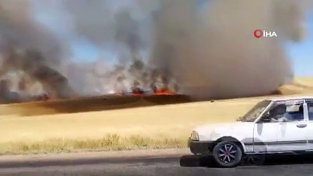 Incendie en tonnes de champs de blé cultivés