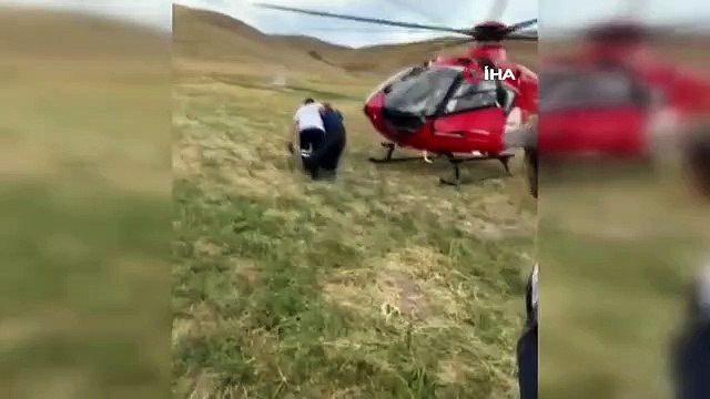 Van'da arı sokmasıyla rahatsızlanan kadın ambulans helikopterle hastaneye kaldırıldı