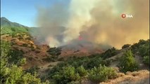 La lutte contre les incendies de forêt à Bingöl se poursuit