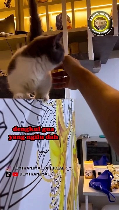 DEMIK ANIMAL