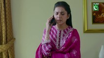 Usman Ki Dulhan Ko Honeyoom Pe Kahan Jana Hai.. #tubaanwar #shahzadnoor - Dil Pe Zakham - FLO Digital