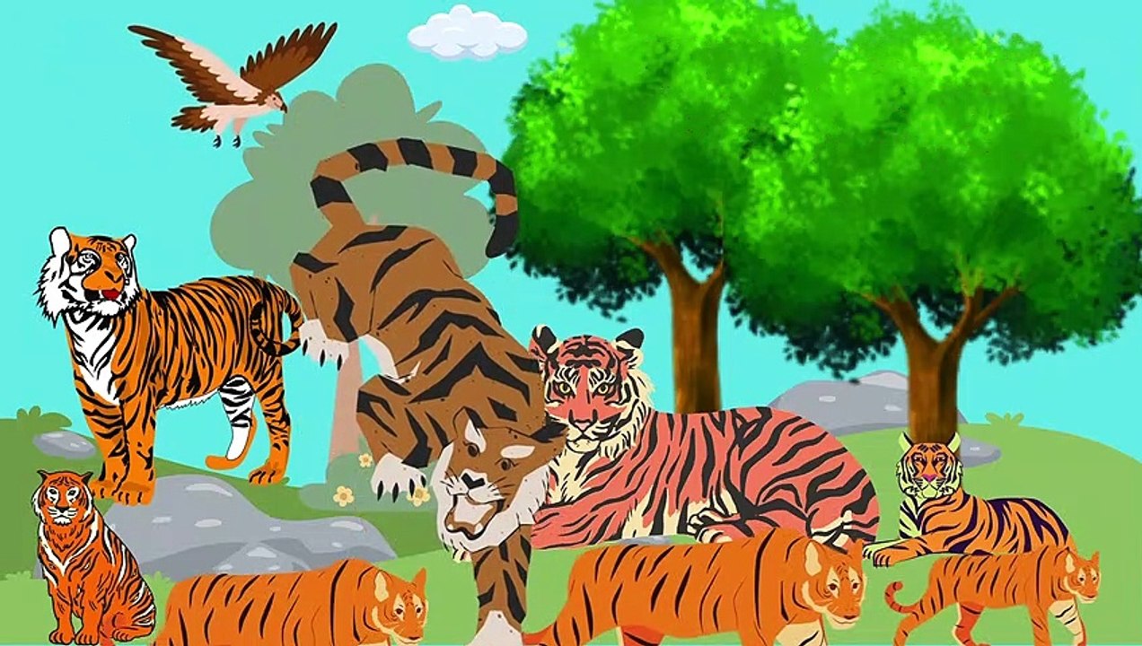 Video animasi - harimau - hutan - Video Dailymotion