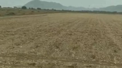 ప్రకాశం: జాడలేని చినుకు... జిల్లాపై జాలి చూపని వరుణుడు