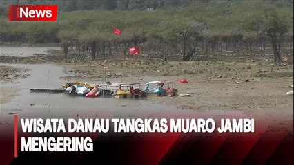 Objek Wisata Danau Tangkas Muaro Jambi Mengering Dampak El Nino