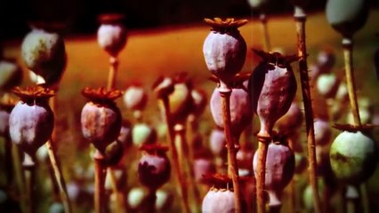 PM Modi’s Role in Manipur | Part 2 | What actually happened | Dhruv Rathee