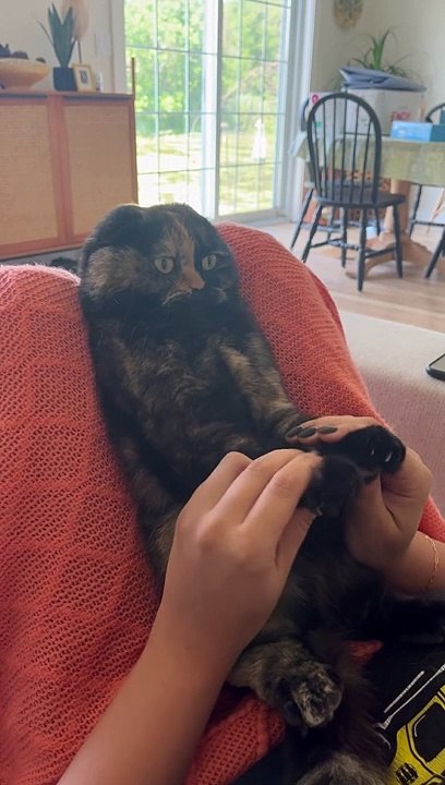 Cat Begrudgingly Participates in Sing Along