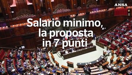 下载视频: Salario minimo, la proposta in 7 punti delle opposizioni