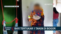 PLT Bupati Bogor Minta Dinkes Bantu Kasus Bayi Tertukar, Salah Seorang Orang Tua Belum Siap Tes DNA