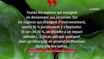 Découvrez ces trois espèces invasives et méconnues d’insectes exotiques