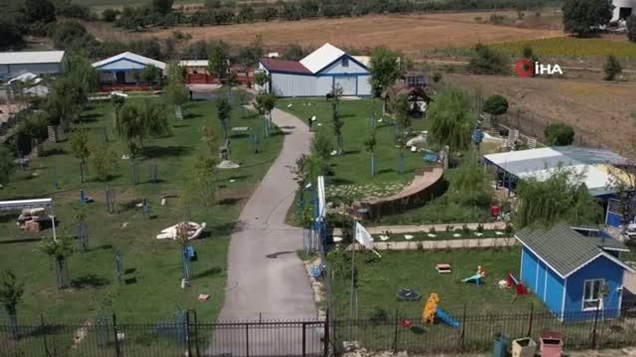 Bursa'daki Emekli Hayvanlar Çiftliği'nde Hayvanlar Emeklilik Hayatı Yaşıyor