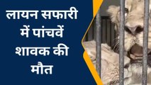 इटावा: लायन सफारी पार्क में मादा भालू के बाद अब शेरनी के पांचवें शावक की मौत, मचा हडकंप