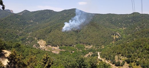 Hatay'da orman yangını