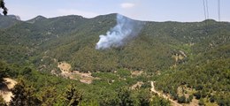 Hatay'da orman yangını