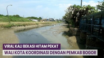 Download Video: Viral Kali Bekasi Hitam Pekat, Wali Kota Koordinasi dengan Pemkab Bogor