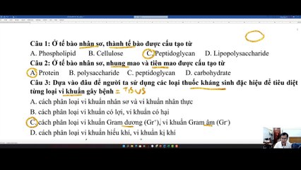 Sinh 10 - 2022 Cuối kỳ I Đề 3