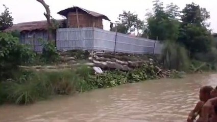 खगड़िया: कोसी नदी में उफान से लोगों में दहशत, तटीय इलाके में कटाव से ग्रामीण सहमे