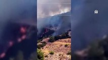 Muğla'da orman yangını başladı