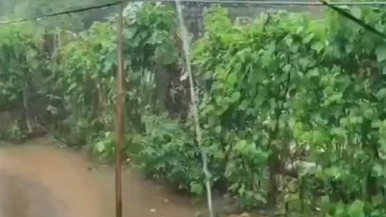 తూర్పు గోదావరి జిల్లా: ఒకసారిగా దంచి కొట్టిన భారీ వర్షం