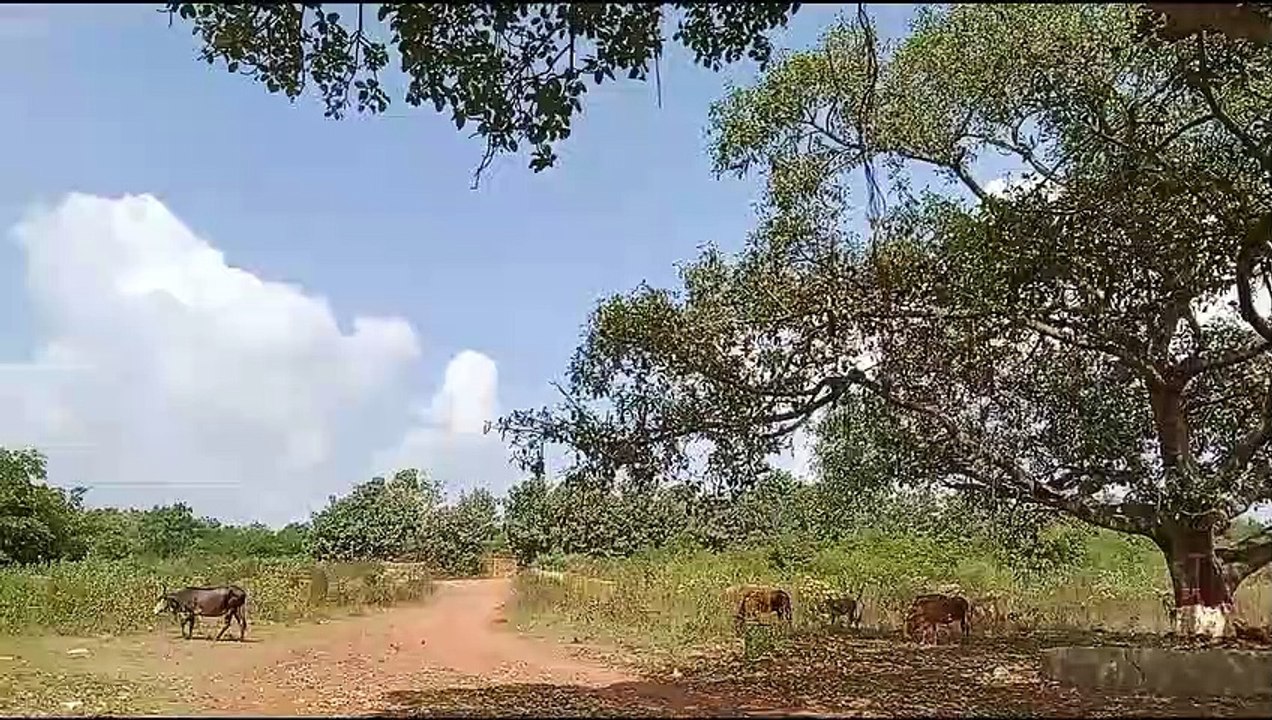A Awesome place in Hubli called Devergudhal Lak...