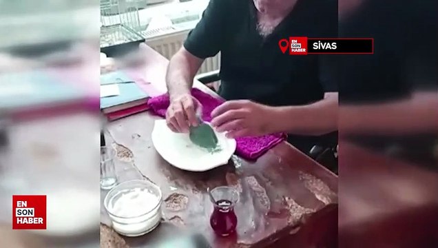 Banyo yaptırdığı kuşuyla olan diyaloğu izleyenlerin yüzünü gülümsetti