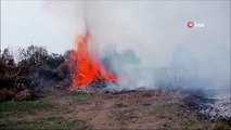 Çanakkale'de Orman Yangını Kontrol Altına Alındı