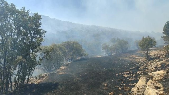 Mardin'de çıkan örtü yangınında ormana sıçrayan alevler kontrol altına alınmaya çalışılıyor