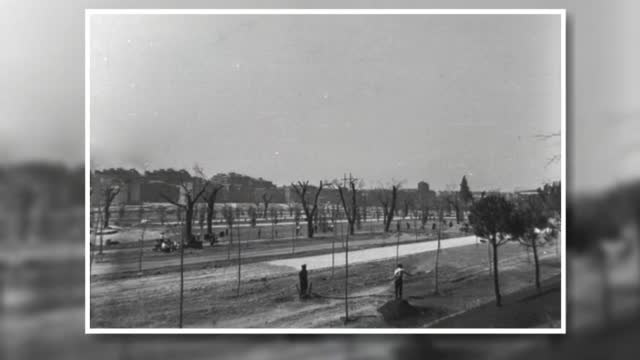 Los vecinos de Arganzuela en pie de guerra contra la tala masiva de árboles