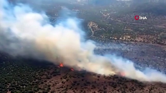 Aliağa'da makilik alanda çıkan yangına havadan ve karadan müdahale ediliyor