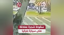 سقوط شجرة عملاقة على سيارة بتركيا