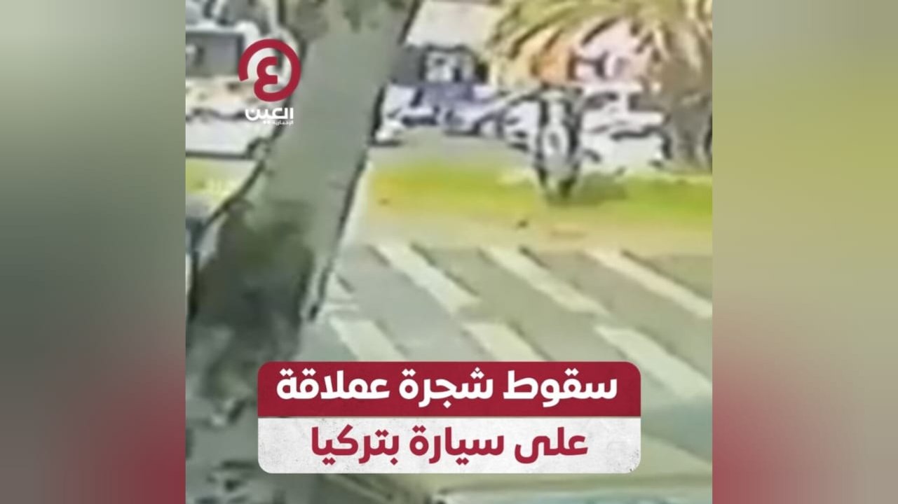 سقوط شجرة عملاقة على سيارة بتركيا