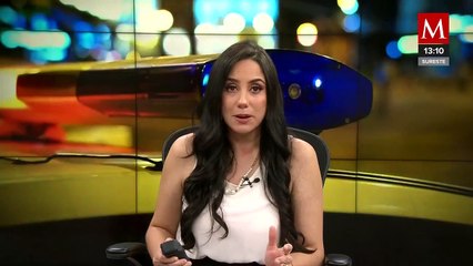 En Michoacán, marchan para exigir justicia por el asesinato de los perritos "Buba" y "Canela"