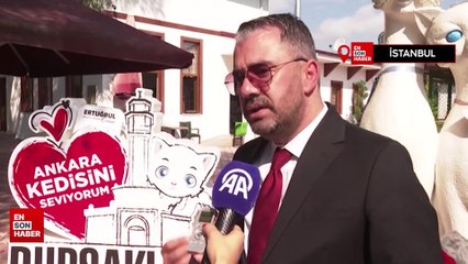 Seymen, Ayasofya-i Kebir Camii'nin yeni kedisi oldu