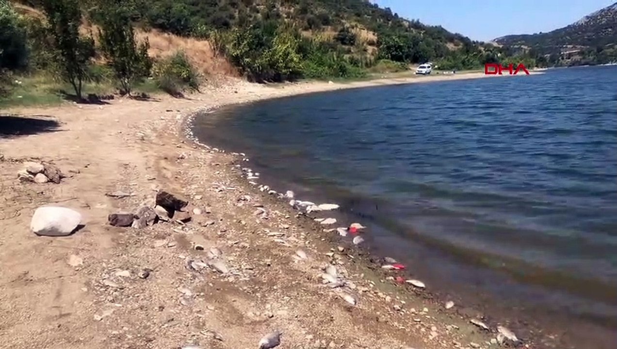 La mort de poissons morts suscite des inquiétudes dans le barrage de Boğazköy