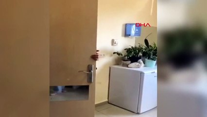 Le seul ophtalmologiste de l'hôpital a pu sortir du bureau avec une sécurité privée, et ceux qui attendaient à l'extérieur ont été hués.