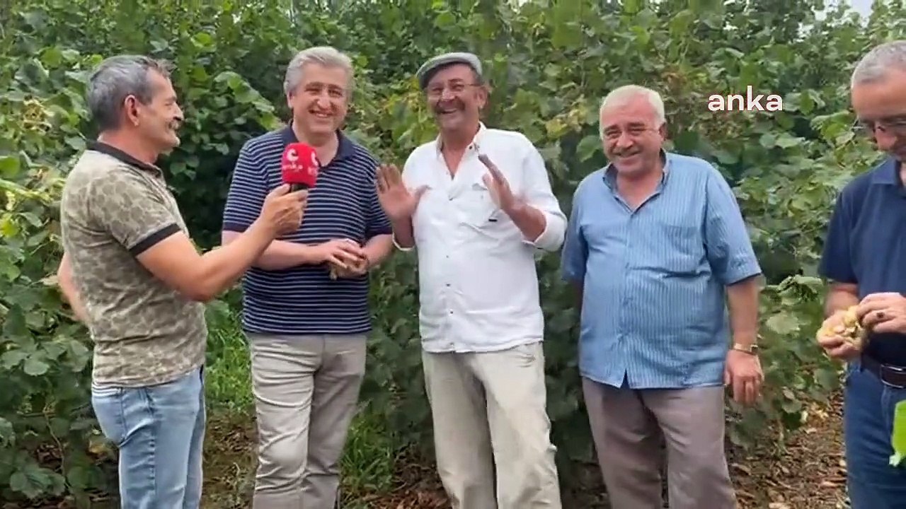 Murat Çan rend visite aux producteurs de noisettes： ＂Le producteur turc de noisettes a été trahi＂